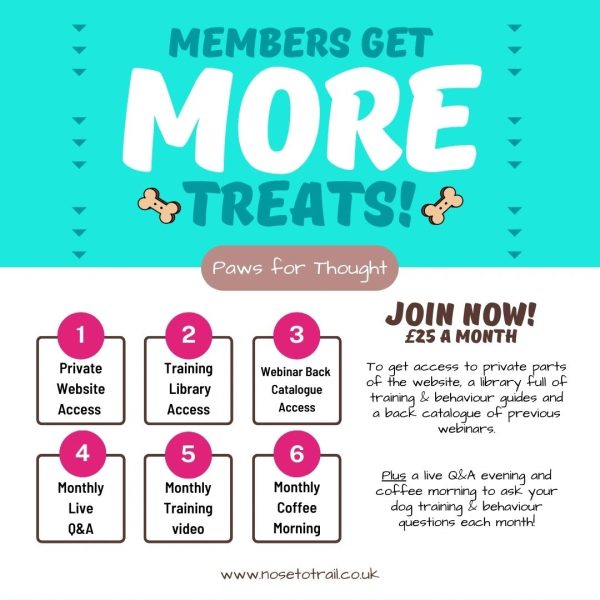 Copy of Copy of Copy of membership advert (1)