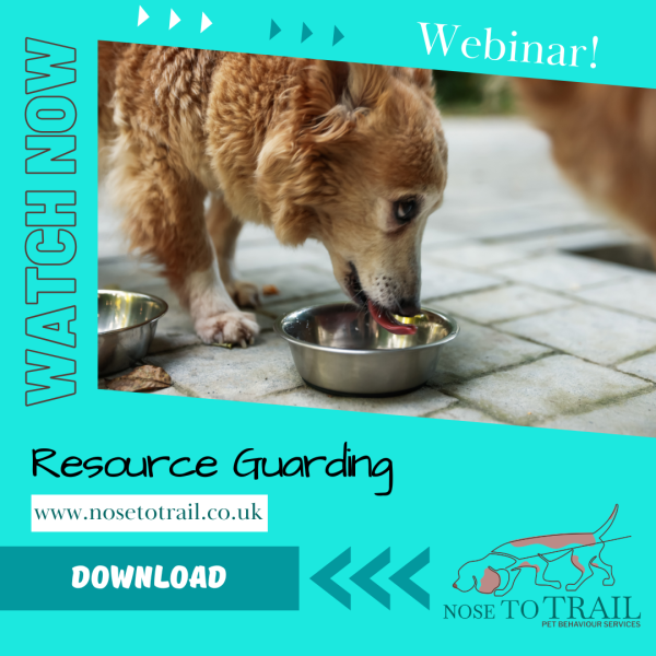resource guarding