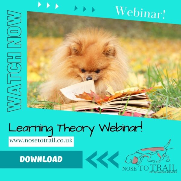 webinar separation (1)