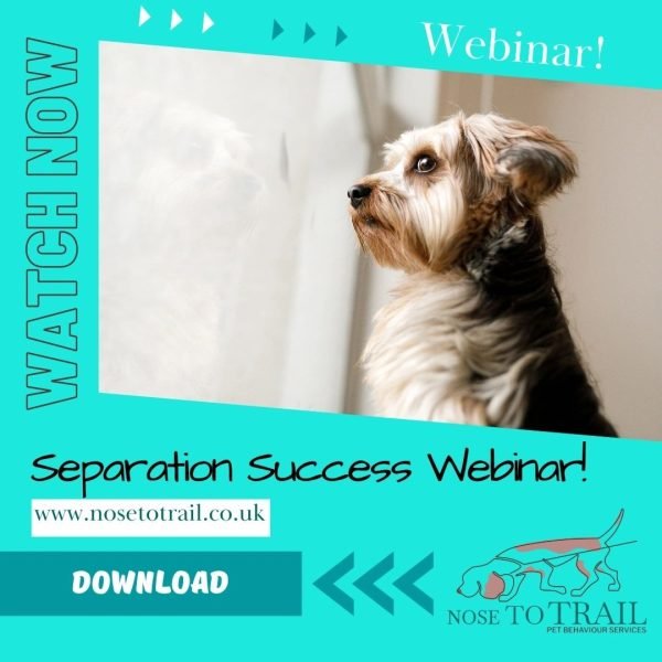 webinar separation